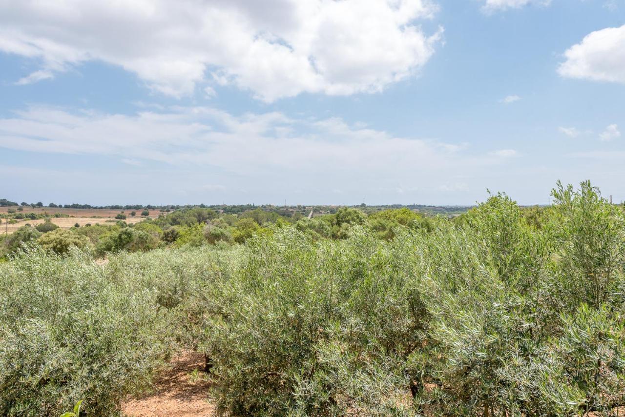 Ses Oliveres Son Carrio  Exterior foto